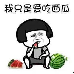 娱乐瓜都是在哪里吃的